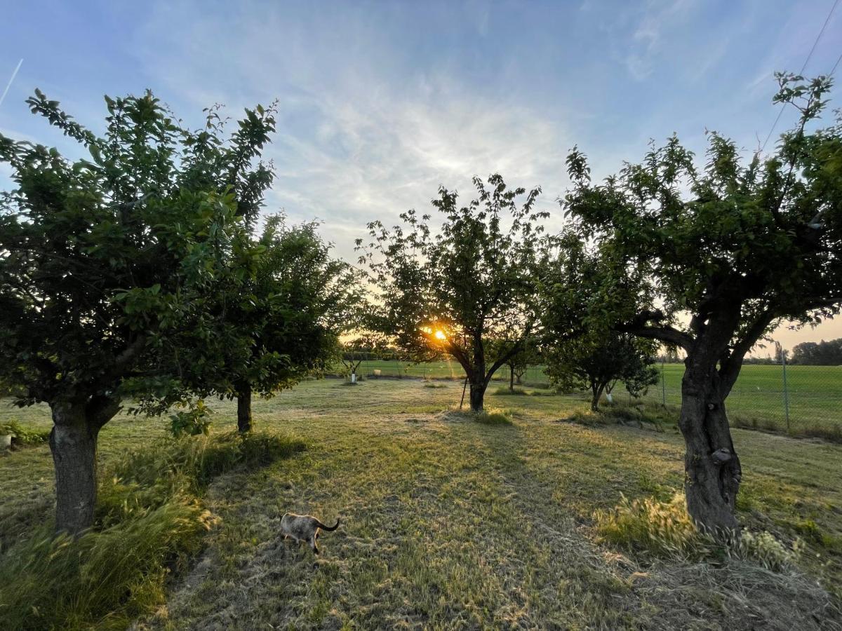 Malamu Bnb Eventi Rigosa Buitenkant foto